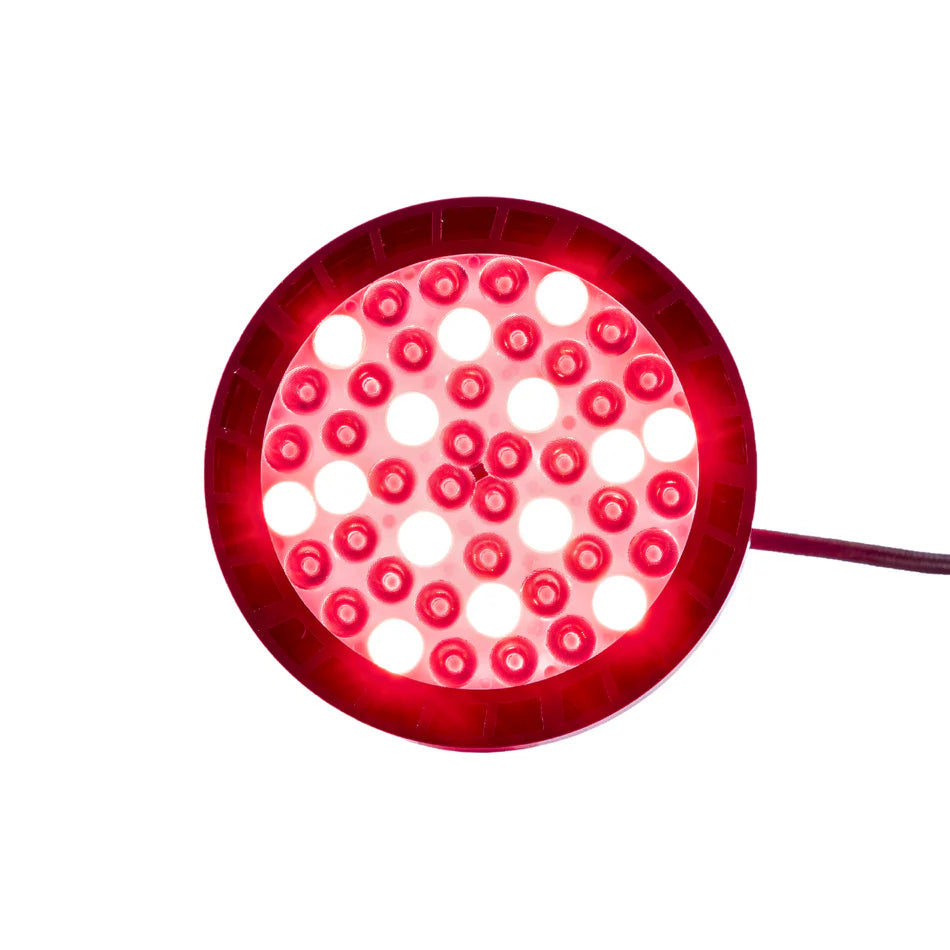 Red Light Rising Target Light 2.0 - Handheld Red Light Therapy Lamp