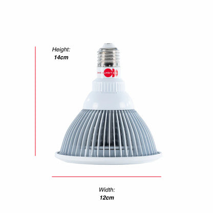 Red Light Rising The Target Light 670nm - Handheld Red Light therapy Lamp