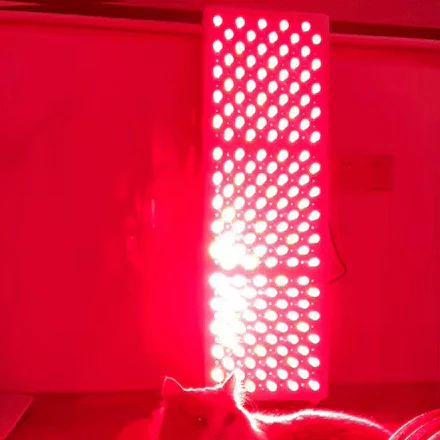 Bodybud™ Mega NIR Red Light Therapy Panel